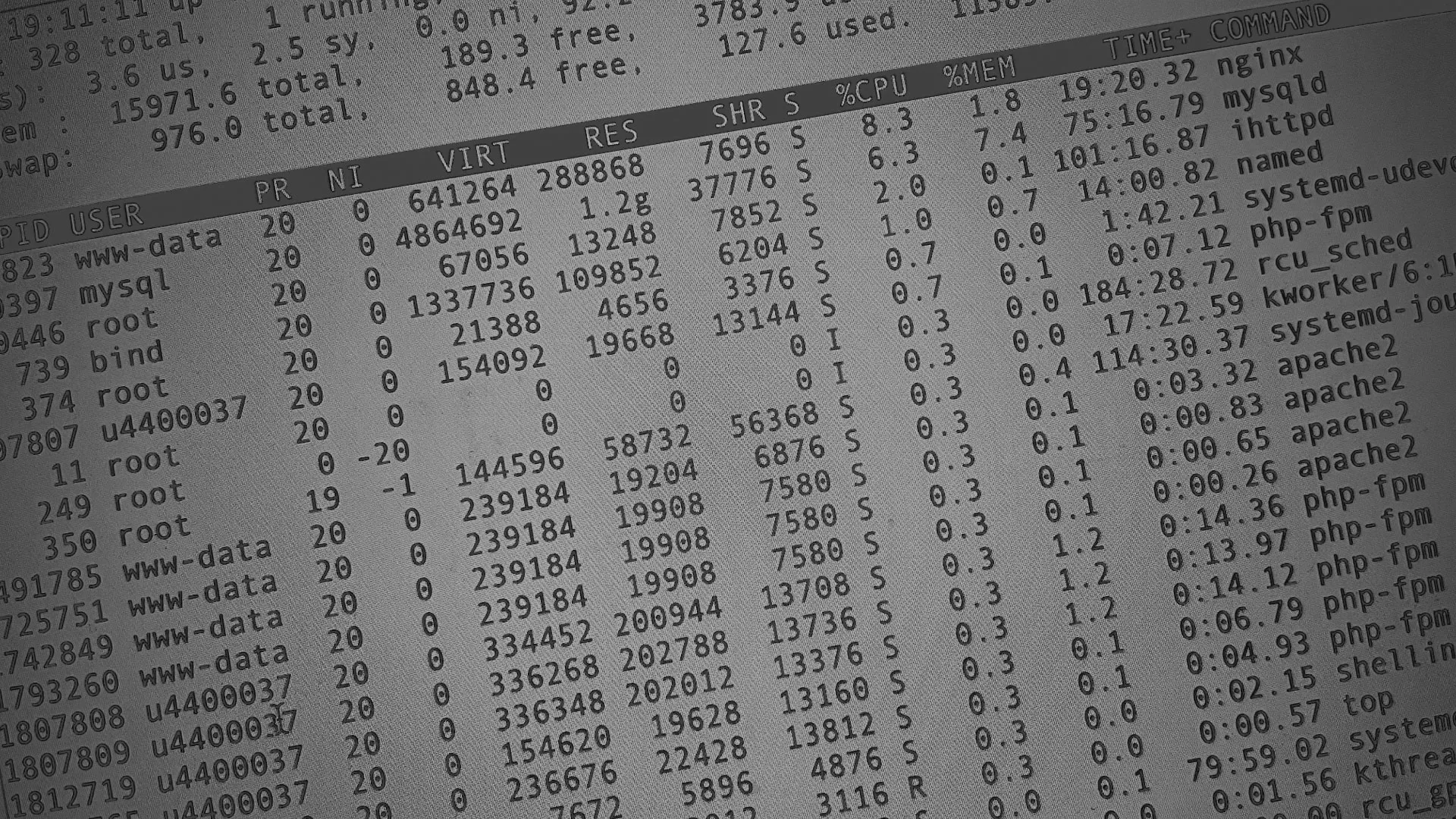 Настройка сервера в Каслях