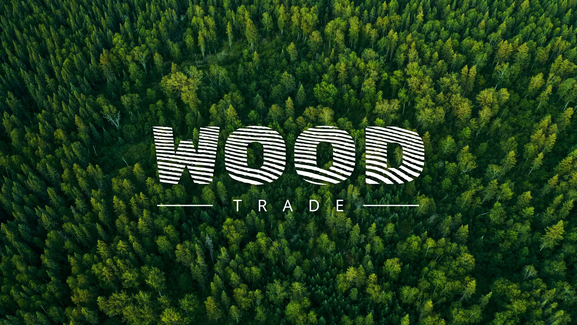 Разработка интернет-магазина компании «Wood Trade» в Каслях